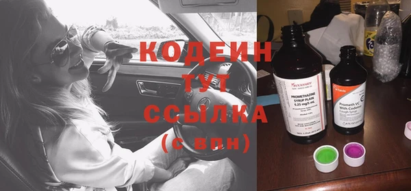 гашик Белокуриха