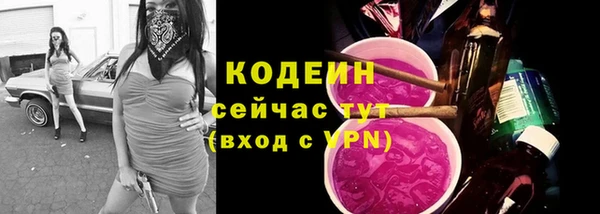 гашик Белокуриха