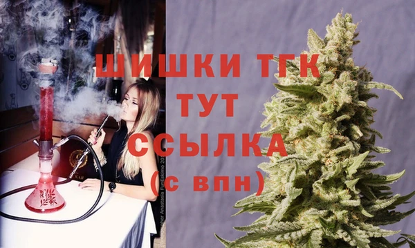 гашик Белокуриха