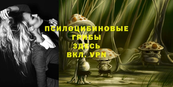 гашик Белокуриха