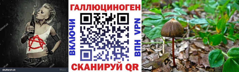 Псилоцибиновые грибы Magic Shrooms  гидра онион  Гатчина 